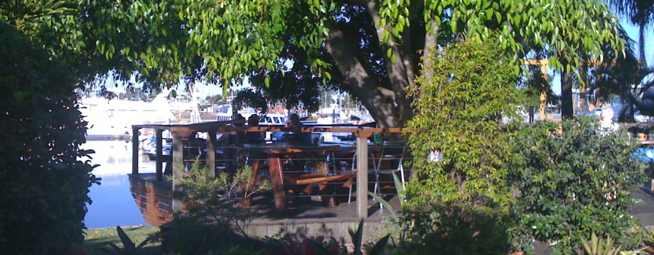 The shady fig tree deck overlooking Manly Harbour